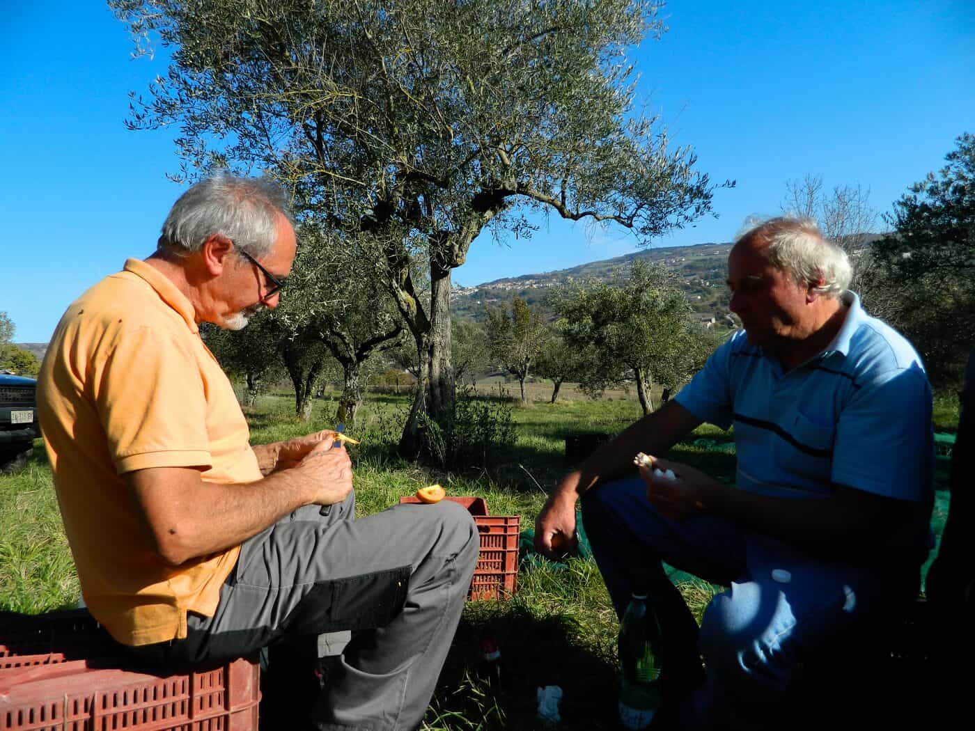 Si scrive extravergine o extra vergine? La risposta breve e quella lunga