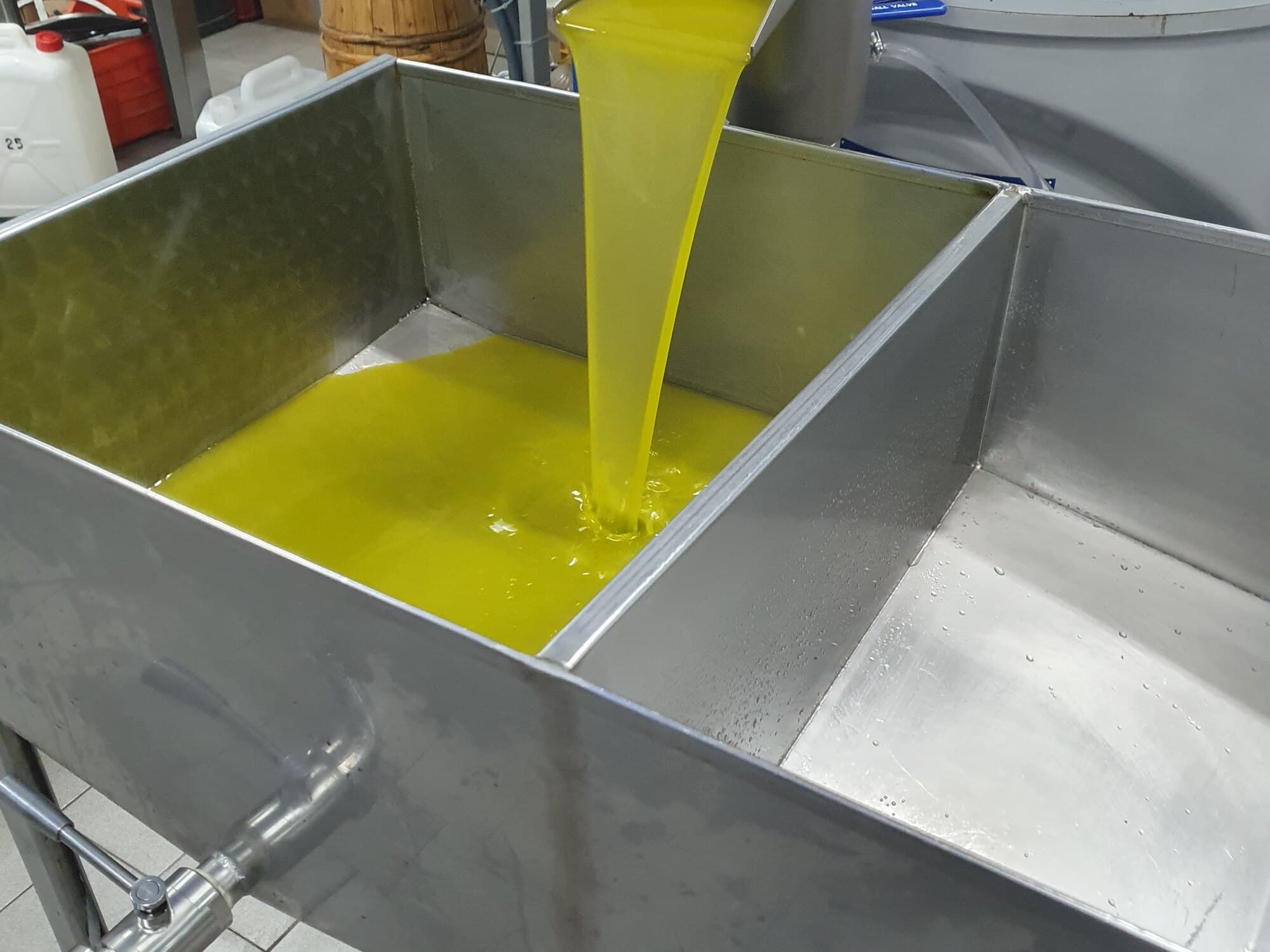 Olio extravergine appena estratto nel frantoio