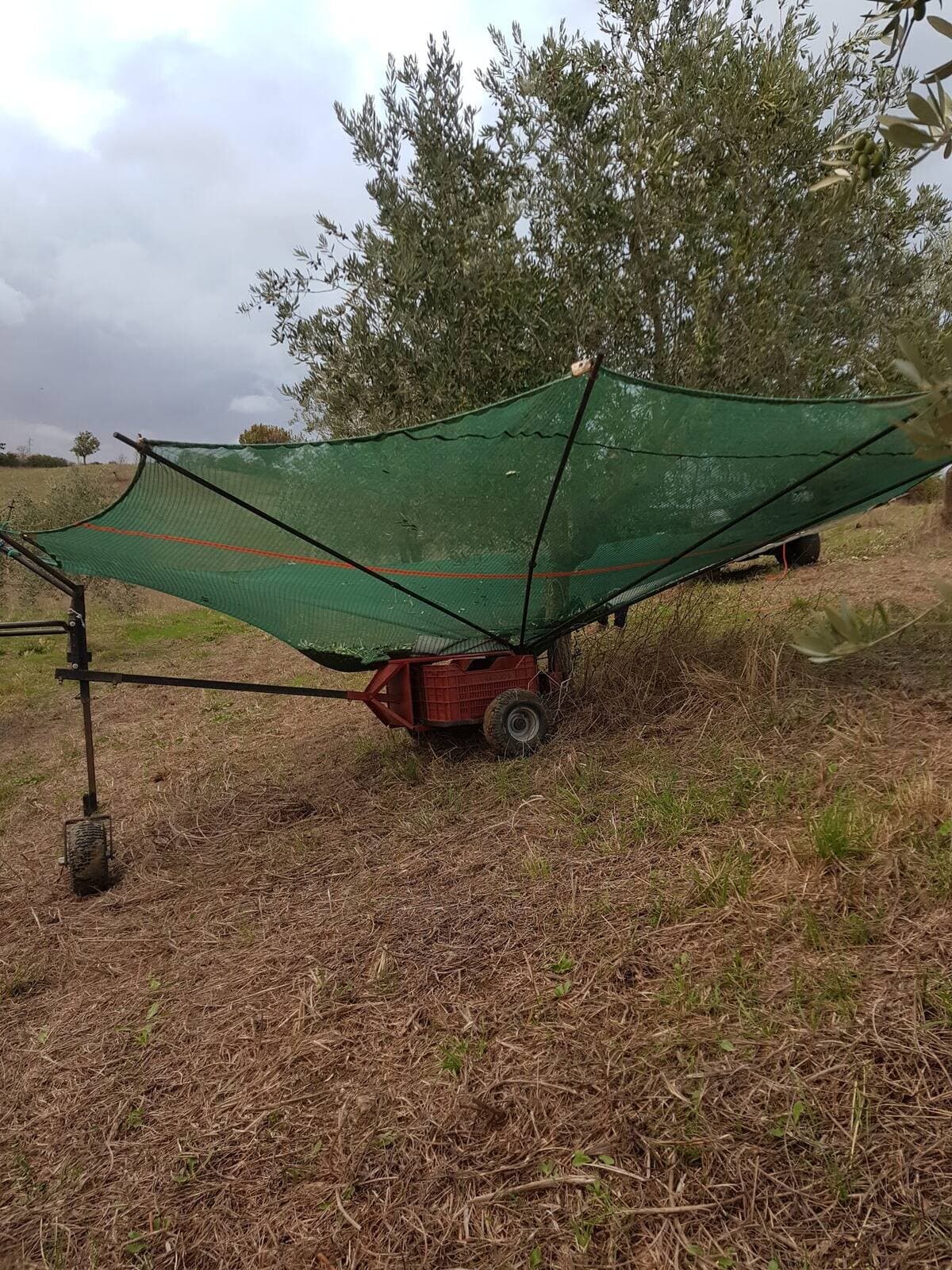 La rete e il carrello pronti per la raccolta nell'oliveto