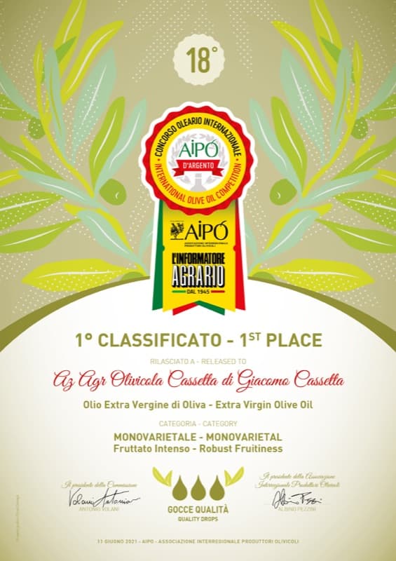 Concorso Internazionale AIPO d'Argento