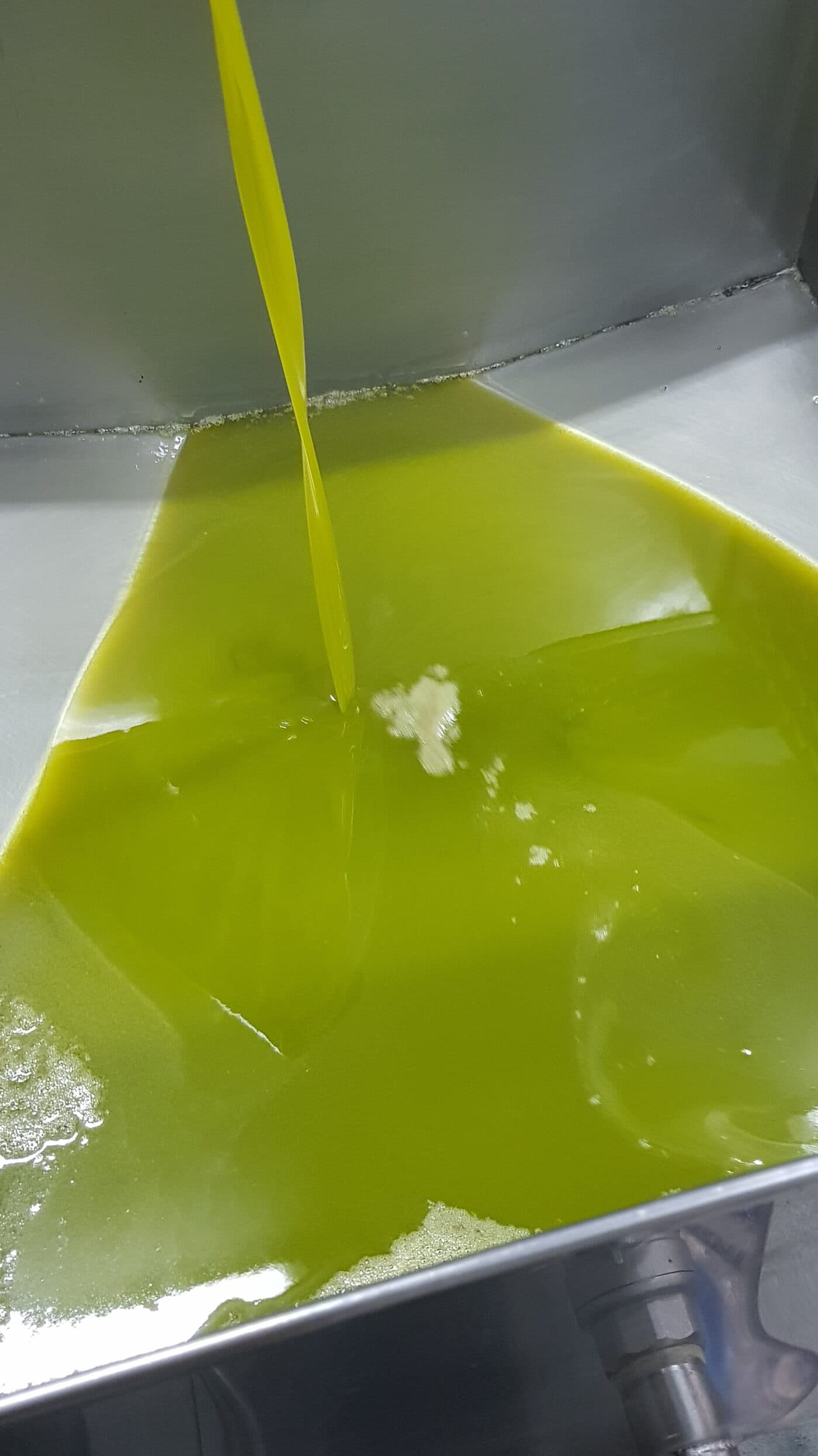 Si può friggere con l'olio extravergine? Sì, è il migliore